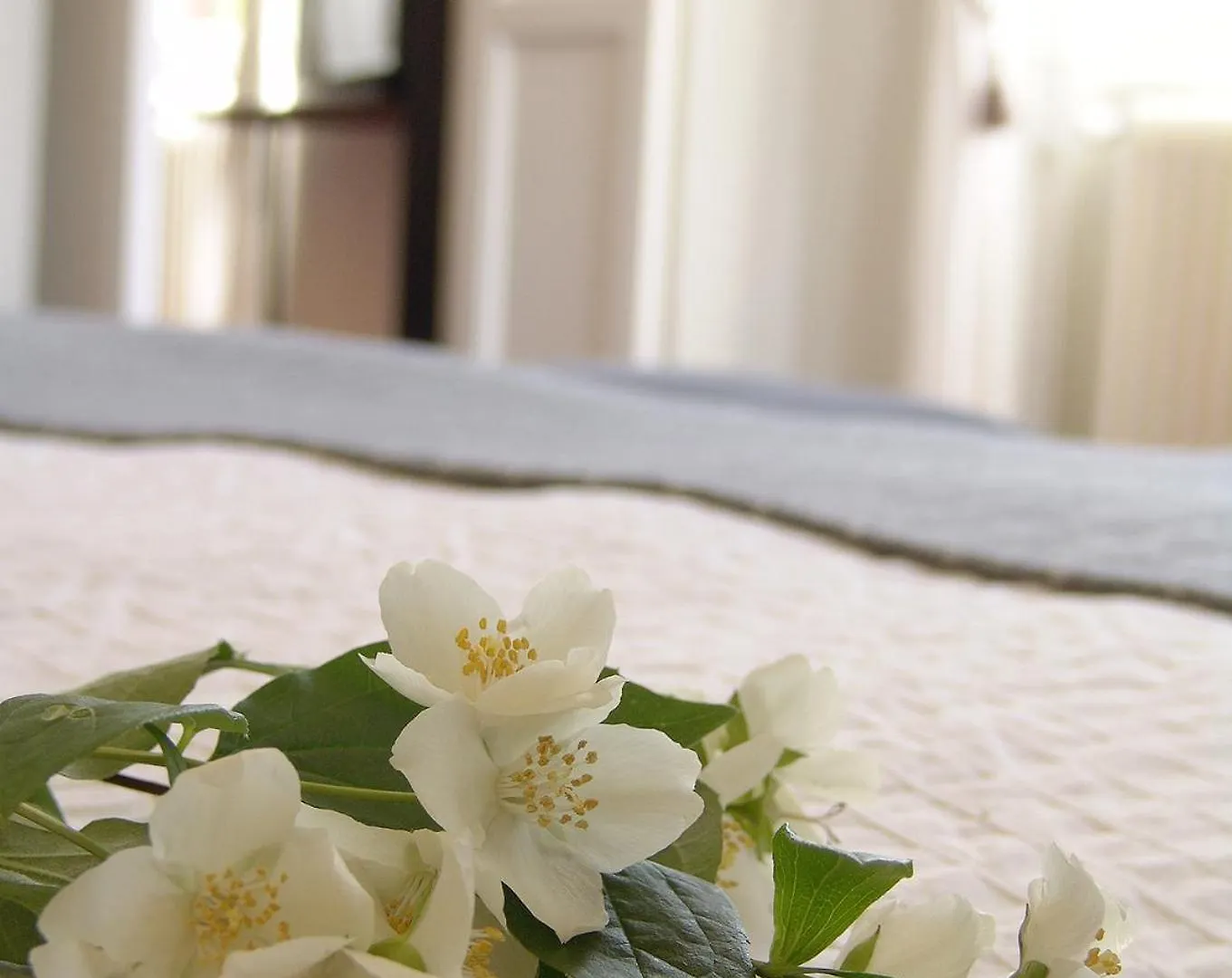 Villanova - Nature & Wellness Levanto 0*,